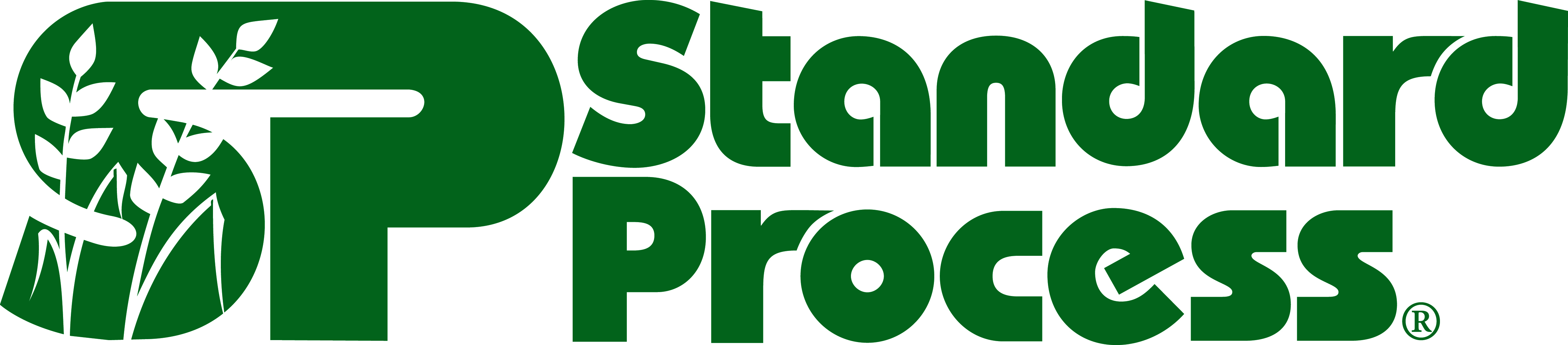 StandardProcessLogo300 BodyPoint Medicine